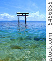 Shiga Prefecture Takashima-shi white beard shrine torii (Lake Biwa) Shiga Prefecture Takashima-shi white beard shrine torii (Lake Biwa) 5456855