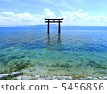 Shiga Prefecture Takashima-shi white beard shrine torii (Lake Biwa) Shiga Prefecture Takashima-shi white beard shrine torii (Lake Biwa) 5456856