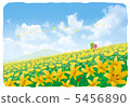 Flower field (Kuriyama Kogen) Flower field (Kuriyama Kogen) 5456890