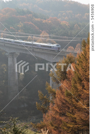 落葉松林和高架橋 落葉松林和高架橋 5456908