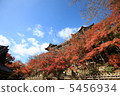 清水寺 5456934