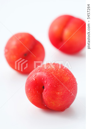 李子 5457264