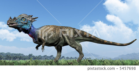 Pakkefaro Saaurus 5457698