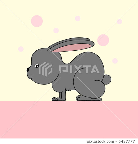 Black rabbit 5457777