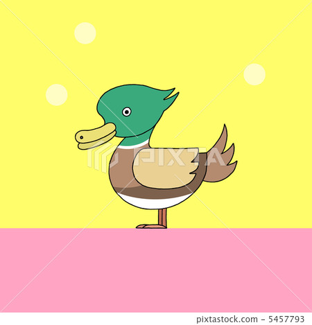 Duck Duck 5457793