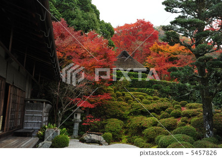 Kinpukuji Temple in Kyoto Autumn 5457826