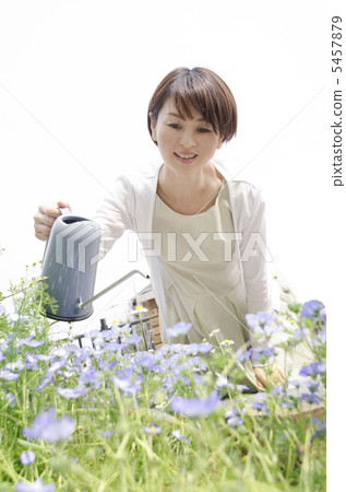 園藝 5457879