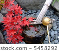 Walking in Kyoto 5458292