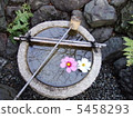 Walking in Kyoto 5458293