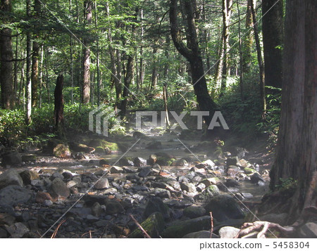 Forest Brook 5458304