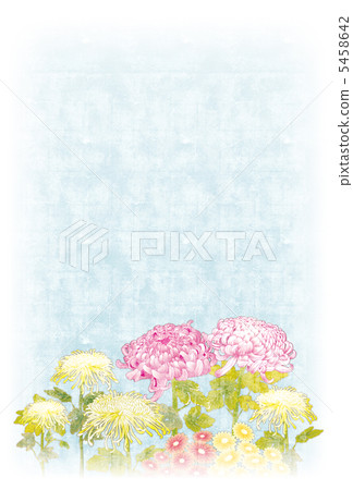 菊花（垂直） 5458642