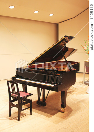 Grand Piano 1 Grand Piano 1 5459186