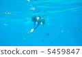 Snorkelling 5459847