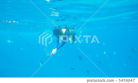 浮潛 浮潛 5459847
