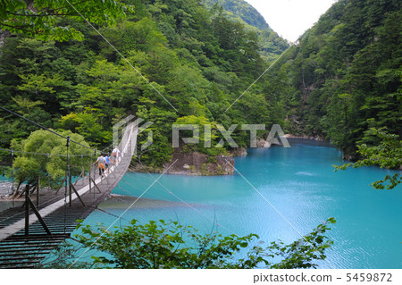 懸索橋的夢想 懸索橋的夢想 5459872