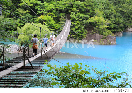 Suspension bridge of a dream Suspension bridge of a dream 5459873