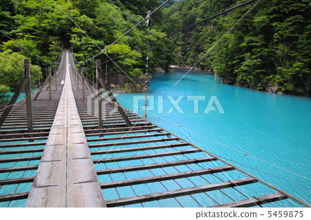 Suspension bridge of a dream Suspension bridge of a dream 5459875