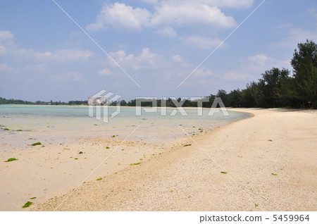 在早春的海灘 5459964