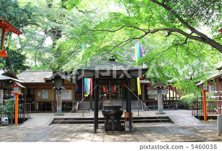 Todoroki Fudoson 5460038