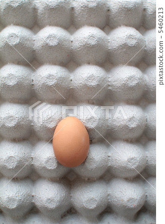 A Kyoto egg placed on a pulp egg carton A Kyoto egg placed on a pulp egg carton 5460213