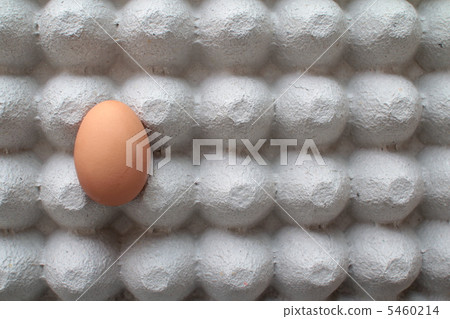 A Kyoto egg placed on a pulp egg carton A Kyoto egg placed on a pulp egg carton 5460214
