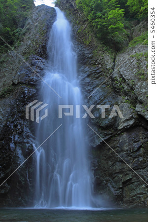 Waterfall of Dark Gate of Shirakami Mountains Waterfall of Dark Gate of Shirakami Mountains 5460354
