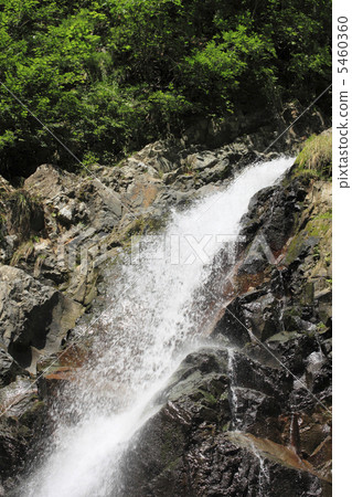 Waterfall of Dark Gate of Shirakami Mountains 5460360