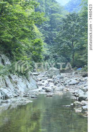 Mountain stream of Shirakami mountains 5460423