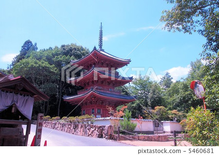 Midsummer Izan Bokufukuji 5460681