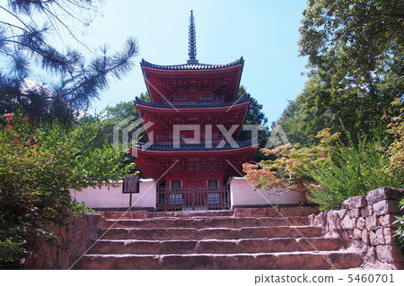 仲夏Izan Bokufukuji 5460701