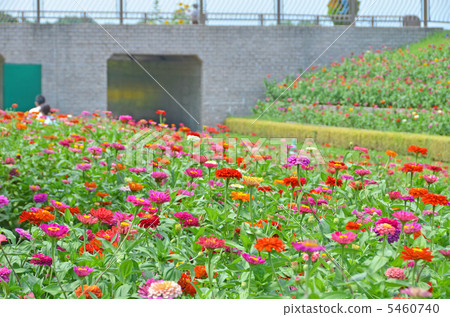 Flower Garden 5460740
