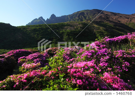 感應峽谷和Miyama Kirishima 5460768