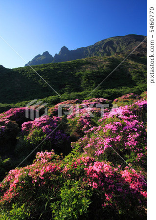 Sensing Gorge and Miyama Kirishima 5460770