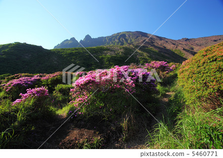 感應峽谷和Miyama Kirishima 5460771