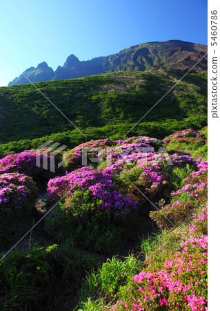 感應峽谷和Miyama Kirishima 5460786