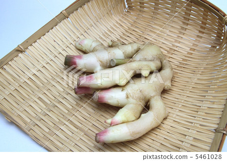 New ginger New ginger 5461028