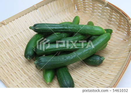 微型黃瓜 微型黃瓜 5461032