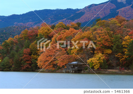 Autumn leaves on the waterside 5461366