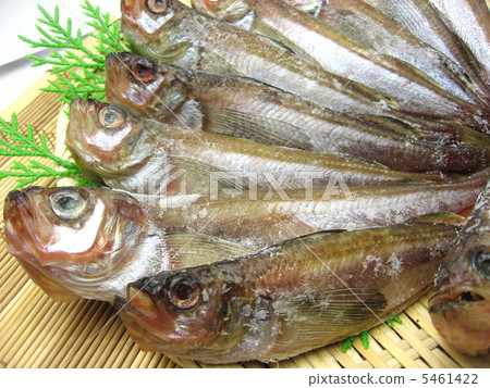 Dried dried roses Dried dried roses 5461422