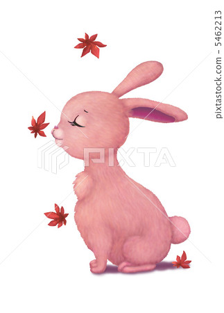 Rabbit and autumn leaves Rabbit and autumn leaves 5462213