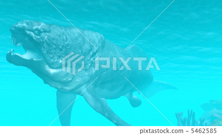 Dankul Osteus第2部分 5462585