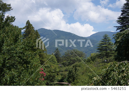 從上田的芋頭山看法 從上田的芋頭山看法 5463251