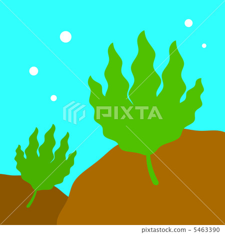seaweed 5463390