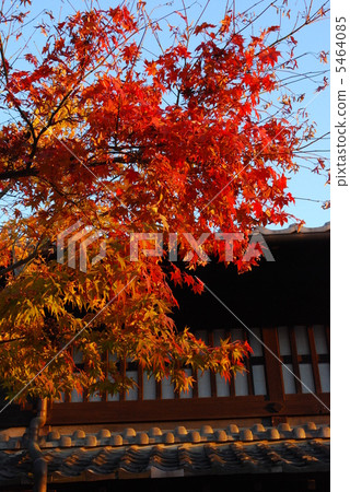 Autumn leaves in the post office town Autumn leaves in the post office town 5464085