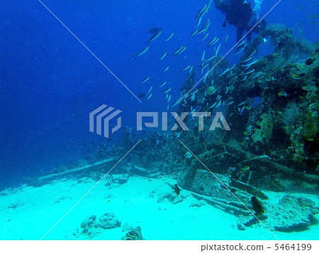 宿務沉船 5464199