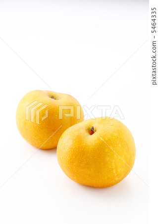 pear pear 5464335