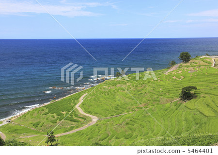 夏季白米千片 5464401