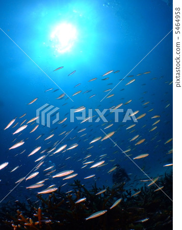 一組鋸模 一組鋸模 5464958