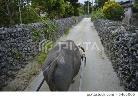 Otoko and road 5465006