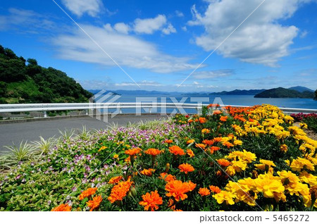 Scenery with flowers Scenery with flowers 5465272
